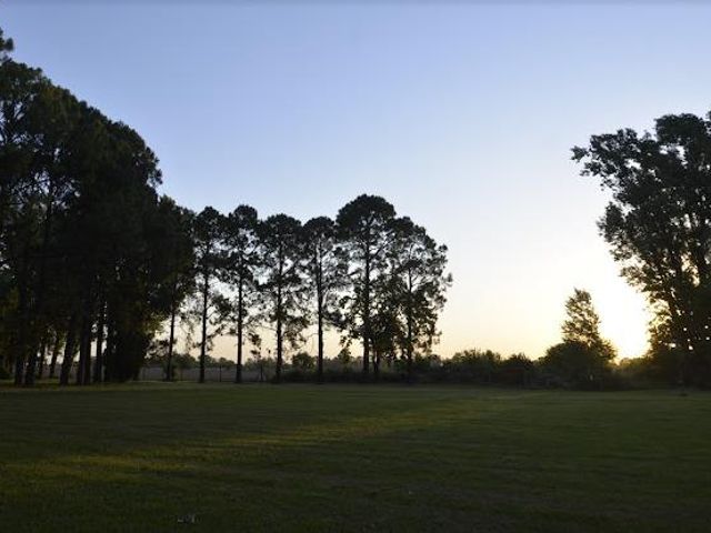 place photo 37