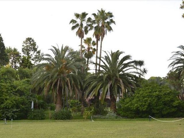 place photo 38