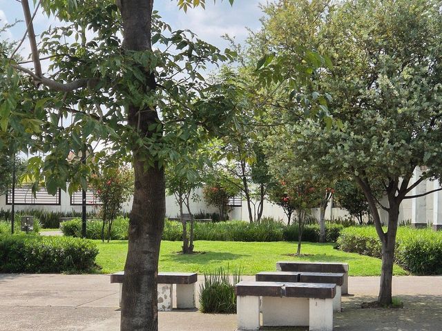 place photo 32