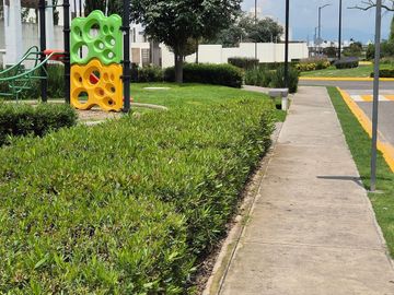 place photo 33