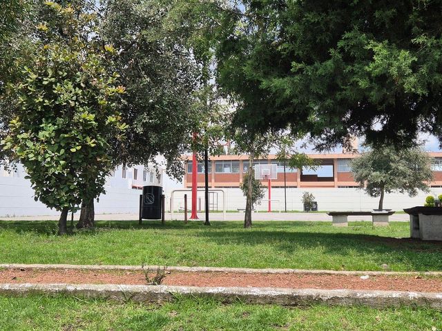 place photo 35