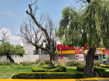 place photo 29