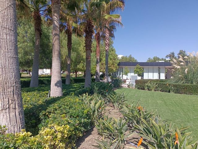 place photo 42