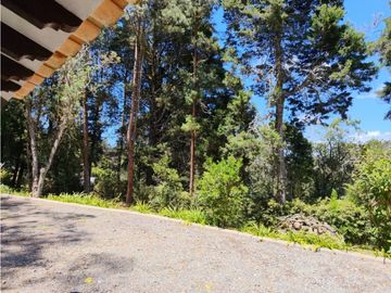 place photo 52