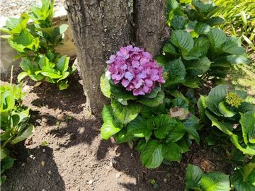 place photo 43