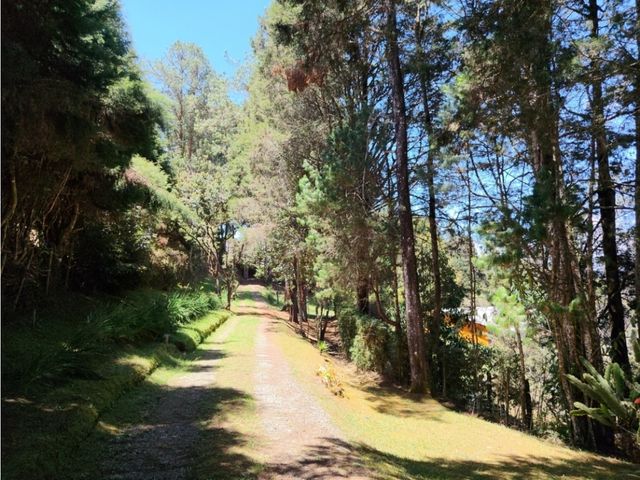 place photo 47