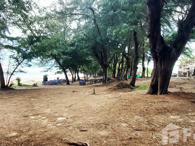 place photo 27