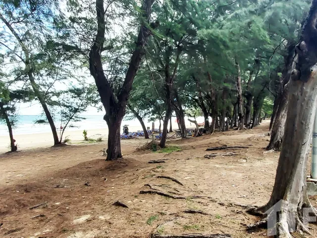 place photo 26