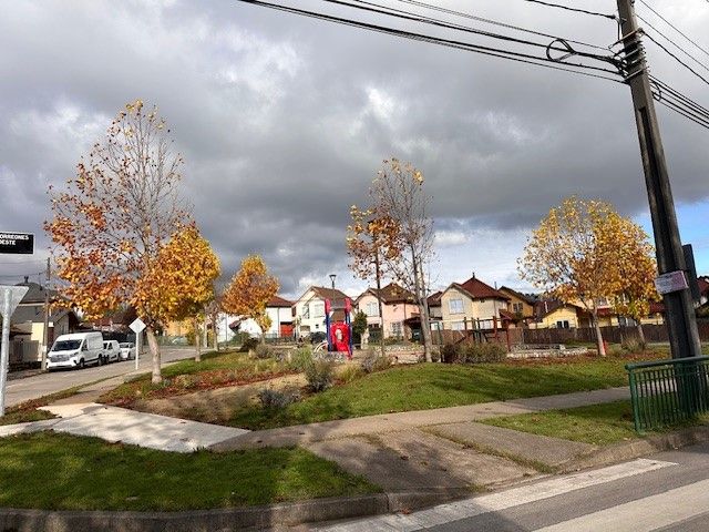 place photo 27