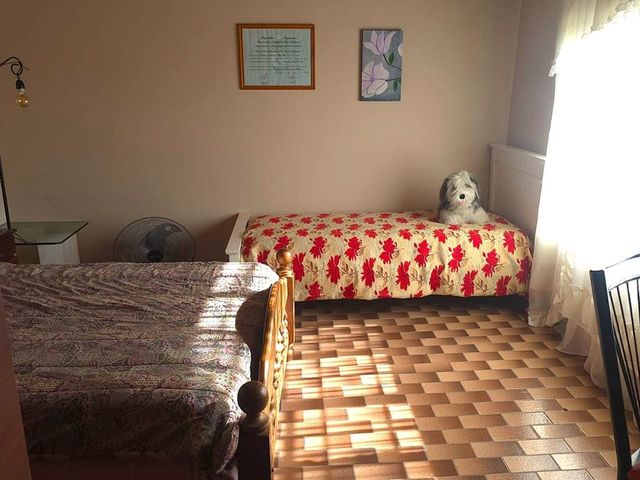 place photo 23