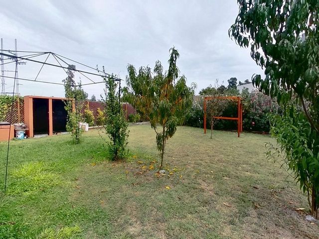place photo 46