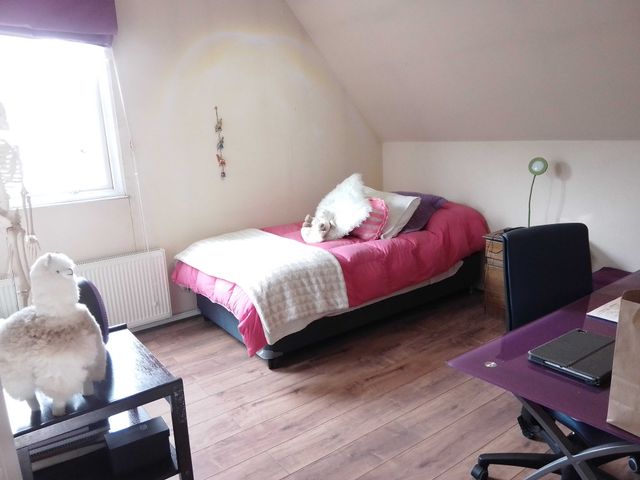 place photo 16