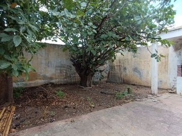 place photo 24