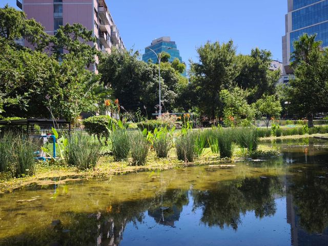 place photo 24