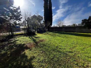 place photo 15