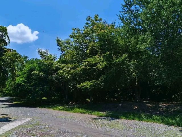 place photo 11