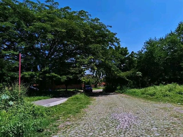 place photo 10