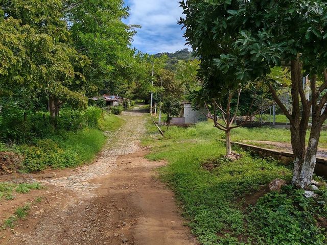 place photo 22