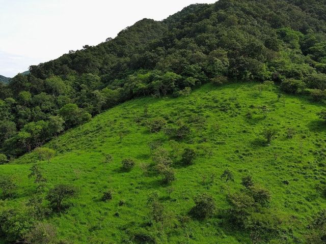 place photo 37