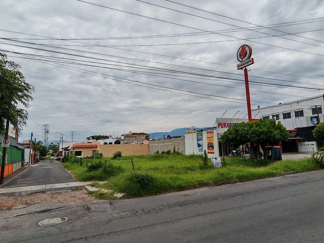 place photo 12