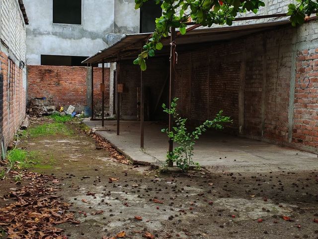place photo 9