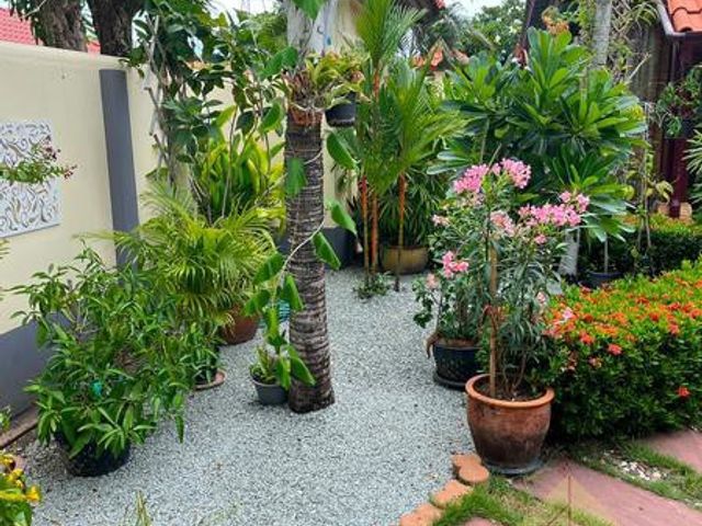 place photo 7
