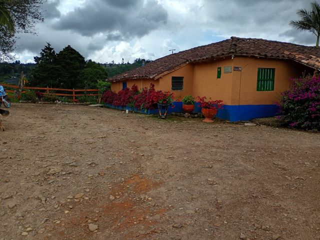 place photo 21
