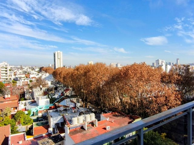 place photo 25