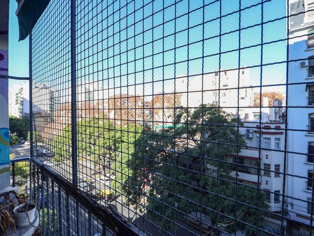 place photo 17