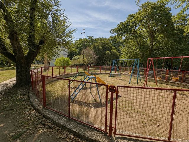 place photo 45