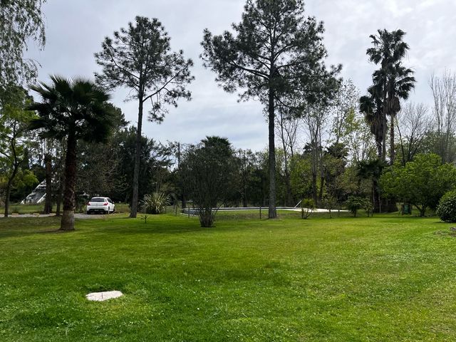 place photo 41