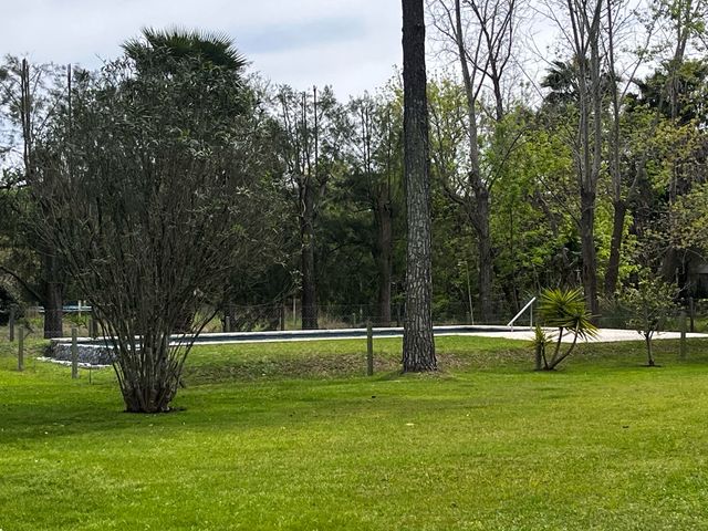 place photo 40