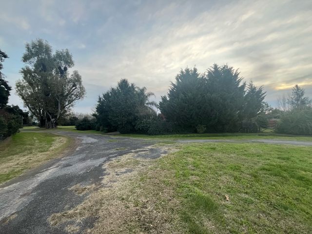 place photo 20