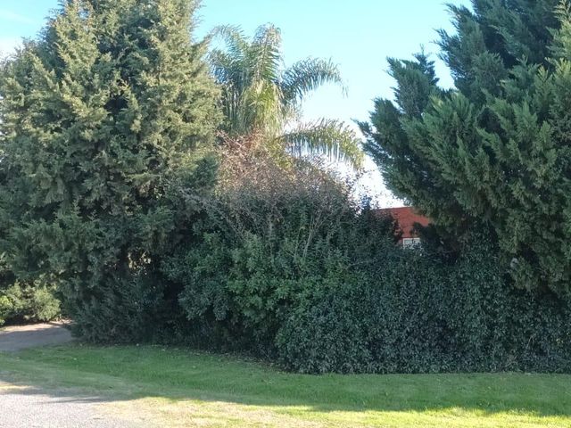 place photo 19