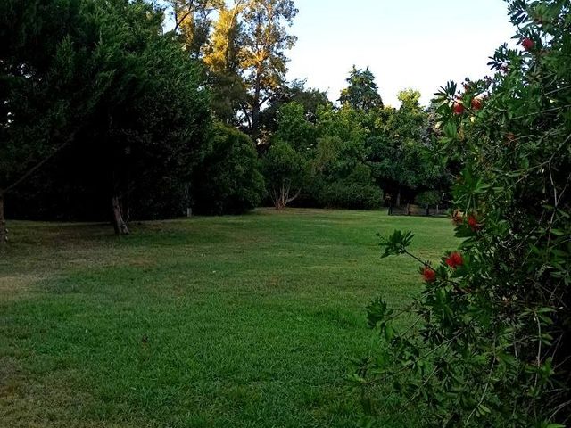 place photo 19
