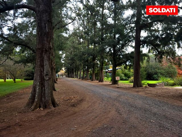 place photo 28