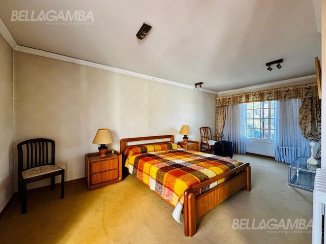 place photo 50