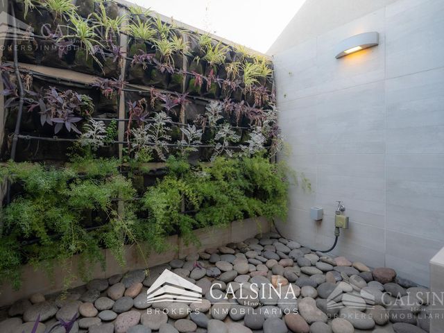 place photo 73