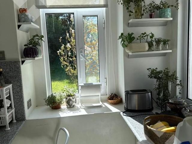place photo 40