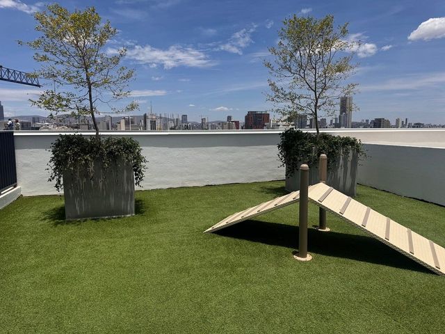 place photo 44
