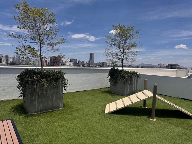 place photo 38