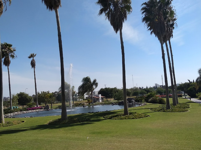 place photo 7