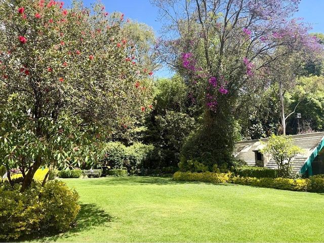 place photo 32