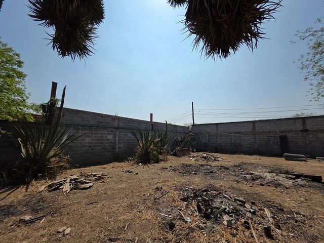 place photo 23