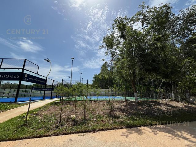 place photo 32