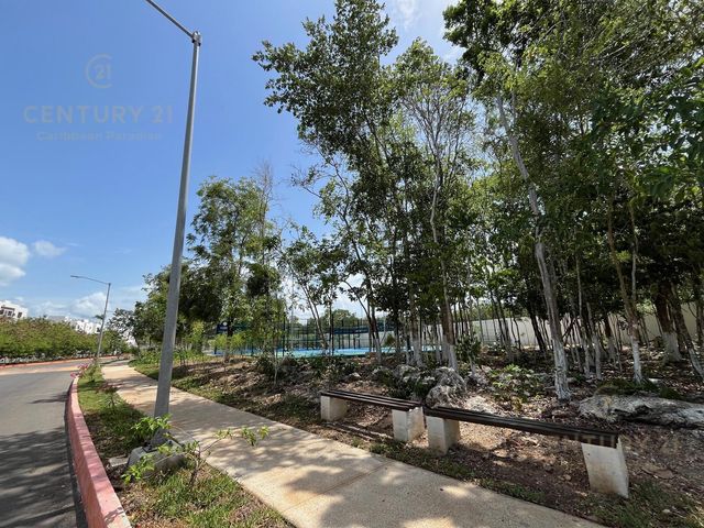 place photo 35