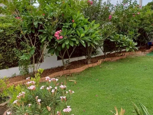 place photo 19