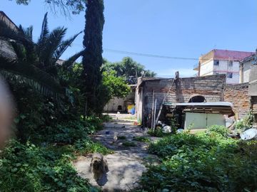 place photo 11