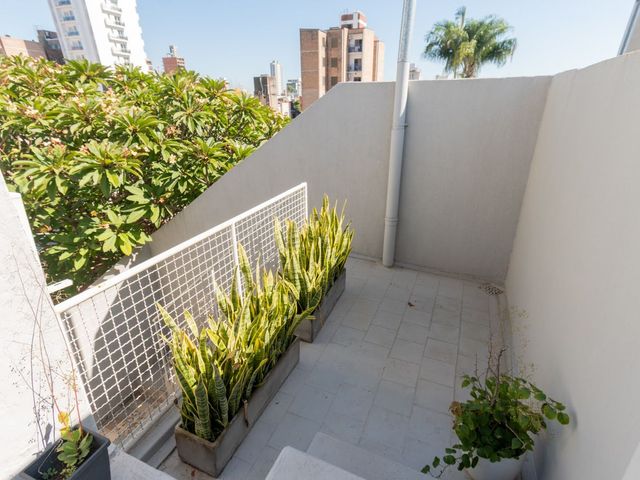 place photo 28
