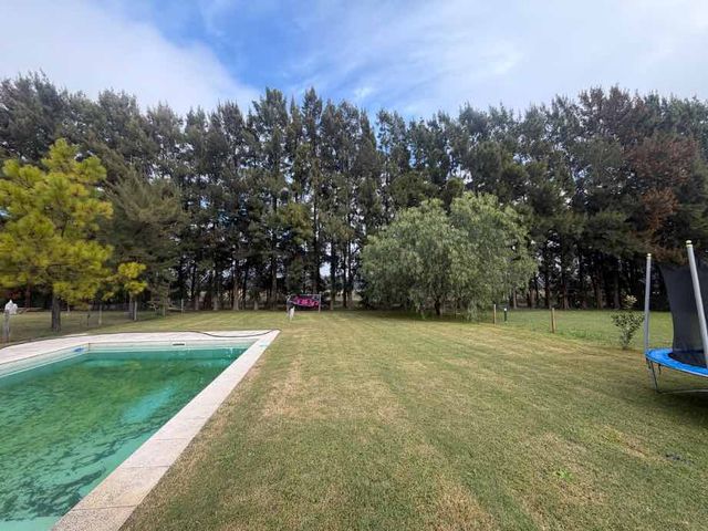 place photo 46